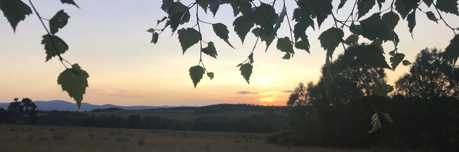 Katy_Kelly_'s profile banner image