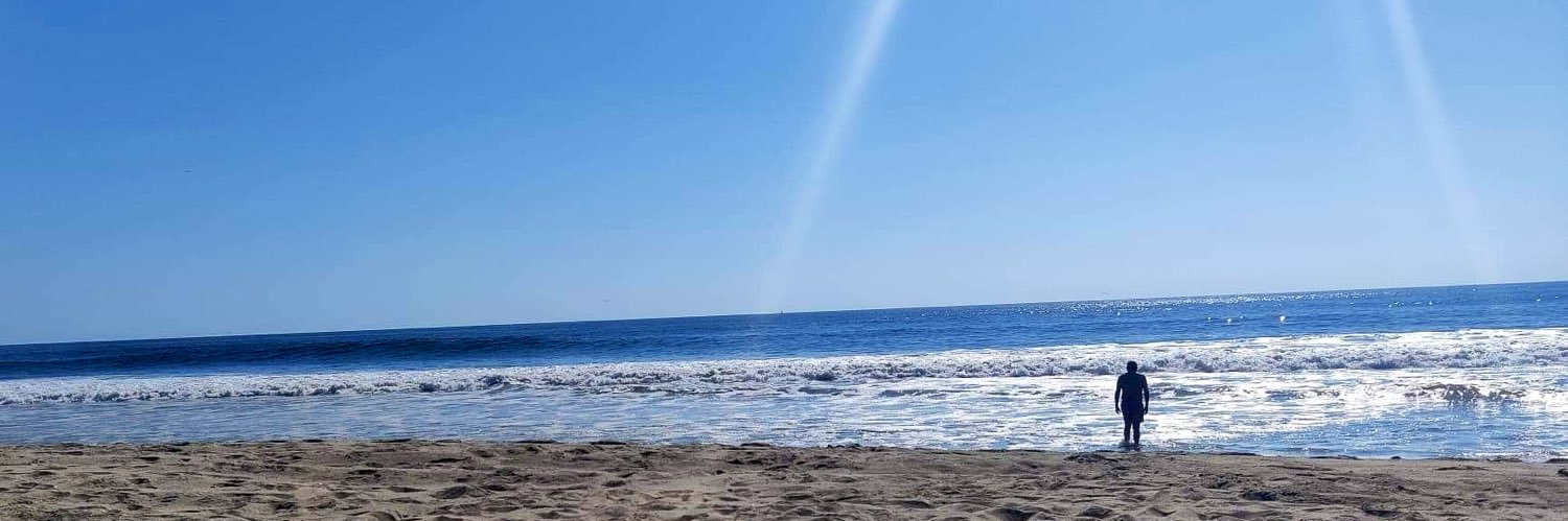 Michael Frank banner