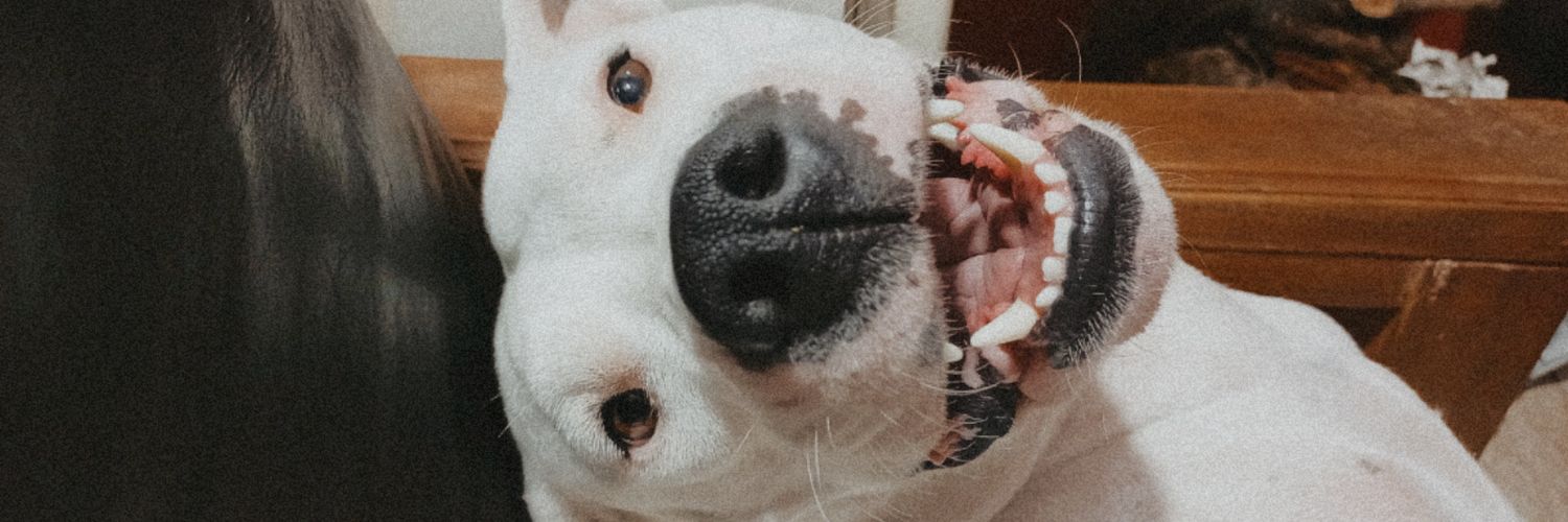 neglakk_'s profile banner image