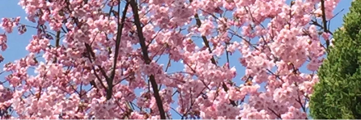 Beatriz de Pascual-T banner