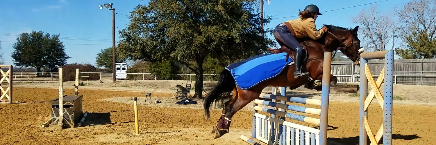 TXCountryBelle's profile banner image