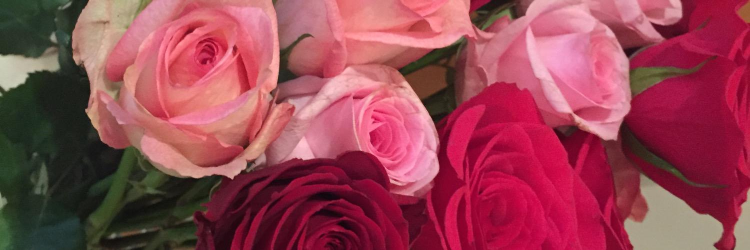 JenniReed93's profile banner image