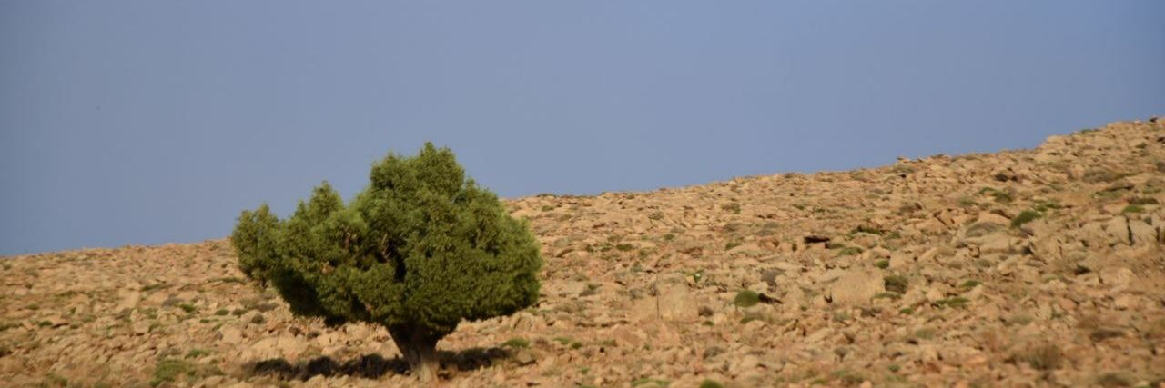 Moha_226's profile banner image