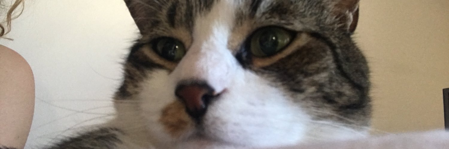 ElenyMama's profile banner image
