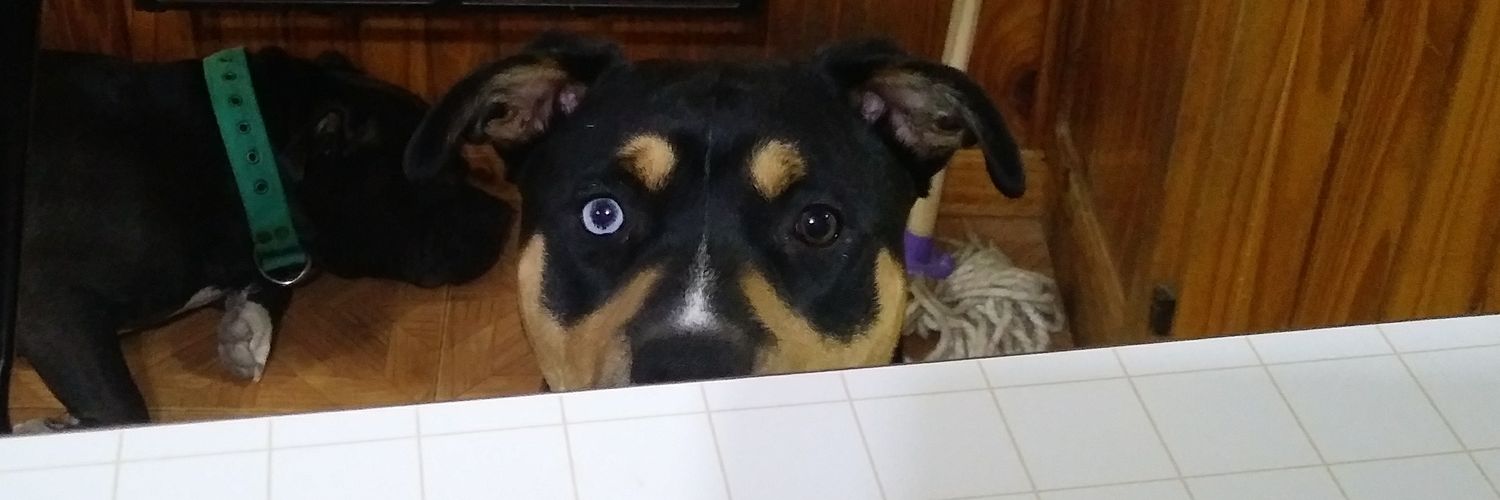 Guillermo ¯\_(ツ)_/¯ banner