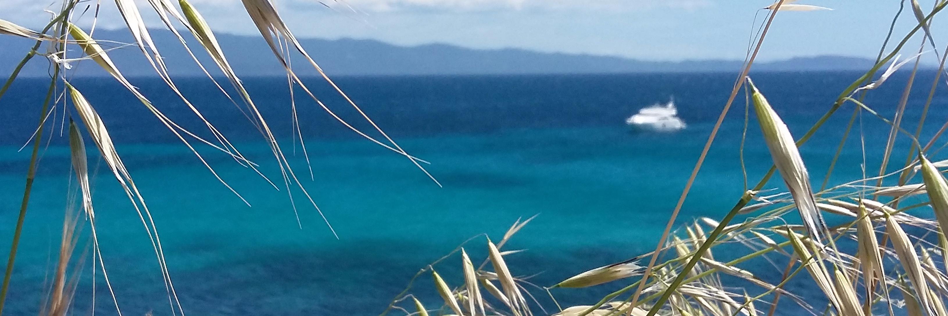 deline29's profile banner image