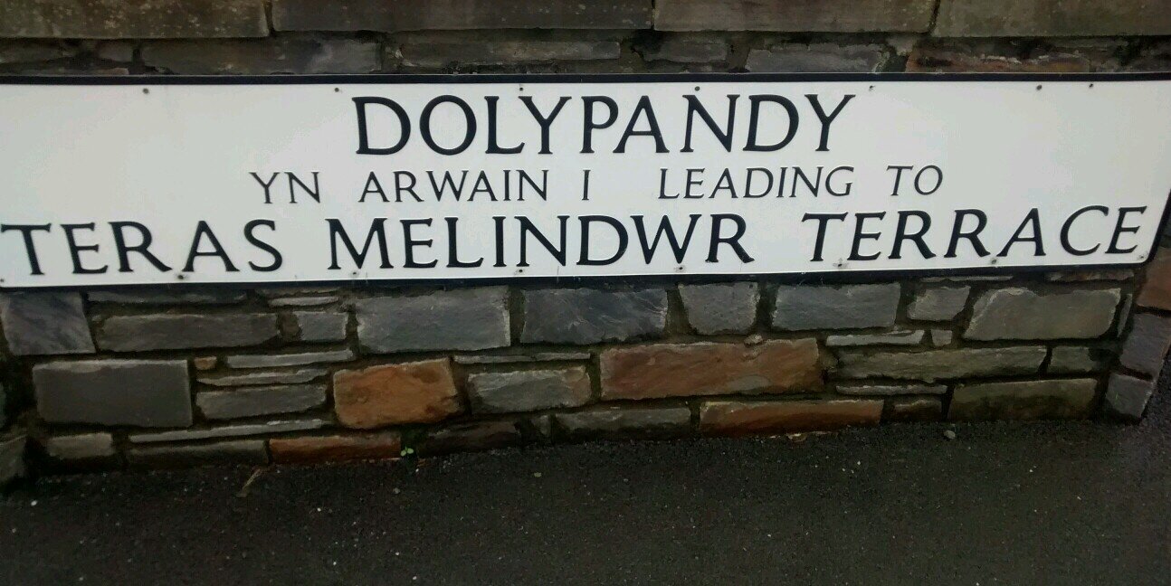 Dolypandy's profile banner image