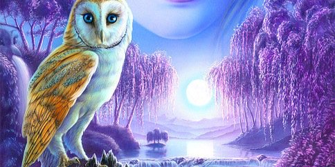 Bloomsharimg's profile banner image