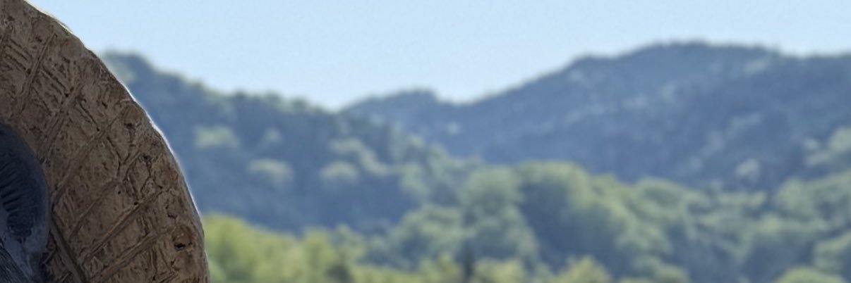 たぬき⭐︎一般人 banner