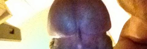 giannizedda3's profile banner image