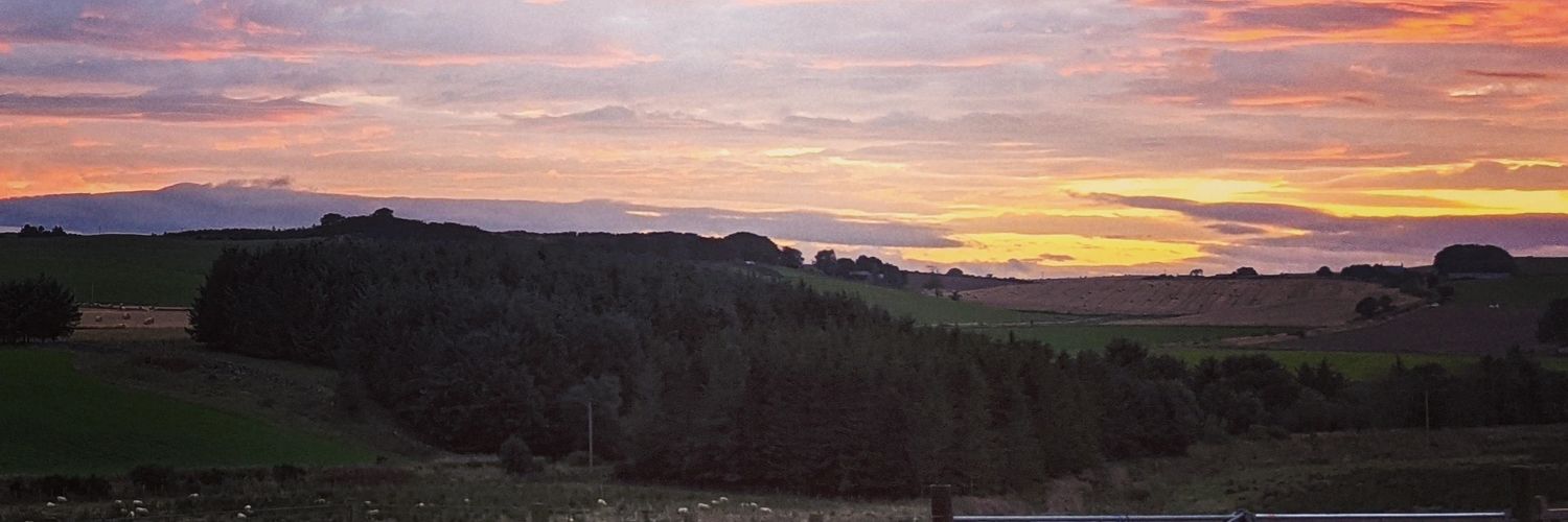 🏳️‍🌈🏴󠁧󠁢󠁳󠁣󠁴󠁿Triona 🏴󠁧󠁢󠁳󠁣󠁴󠁿🏳️‍⚧️ banner