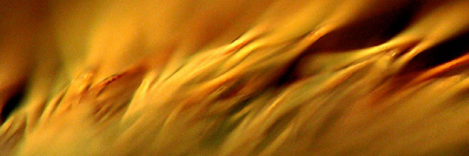 F3_2ndWind's profile banner image