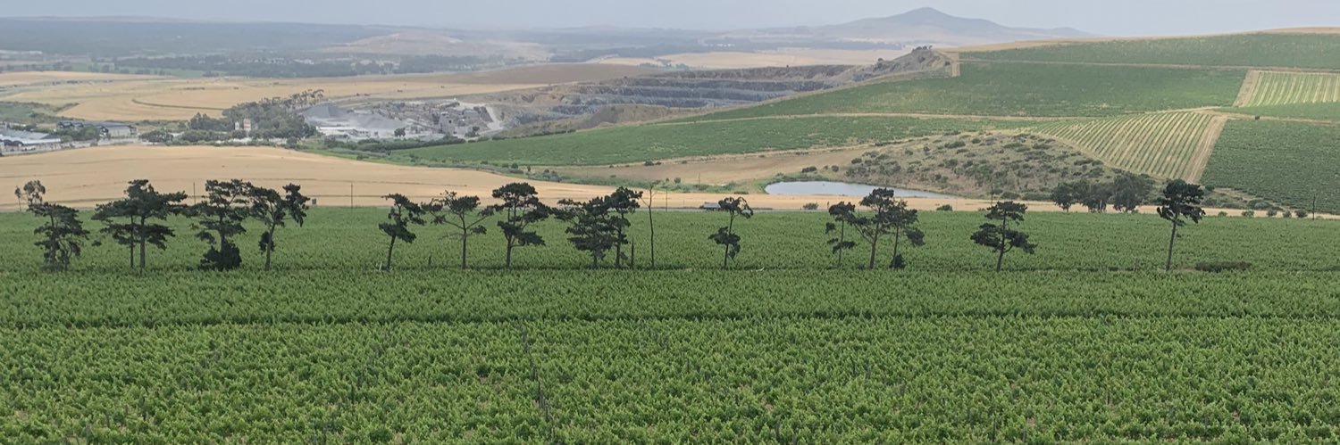 Nomusa Ngwenya's banner