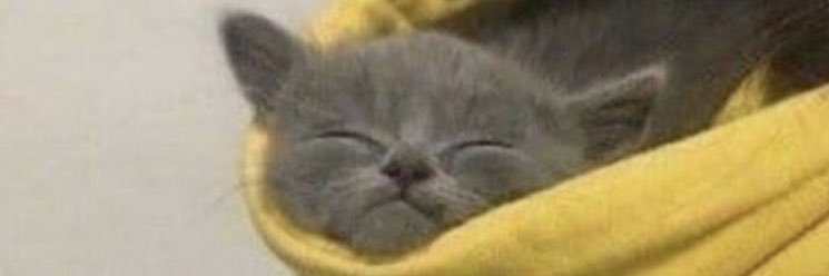 ddavid___'s profile banner image