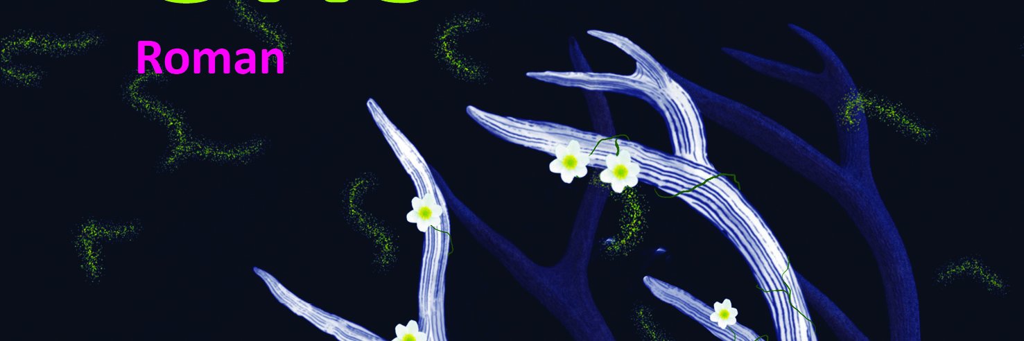 Elisabeth #zahlennichtklatschen Klar banner