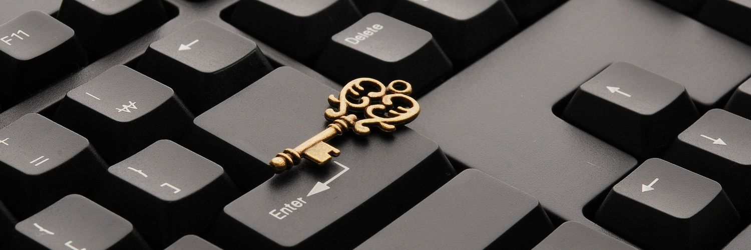 Boris Radanović banner