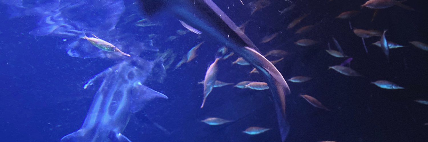 mqinichi's profile banner image