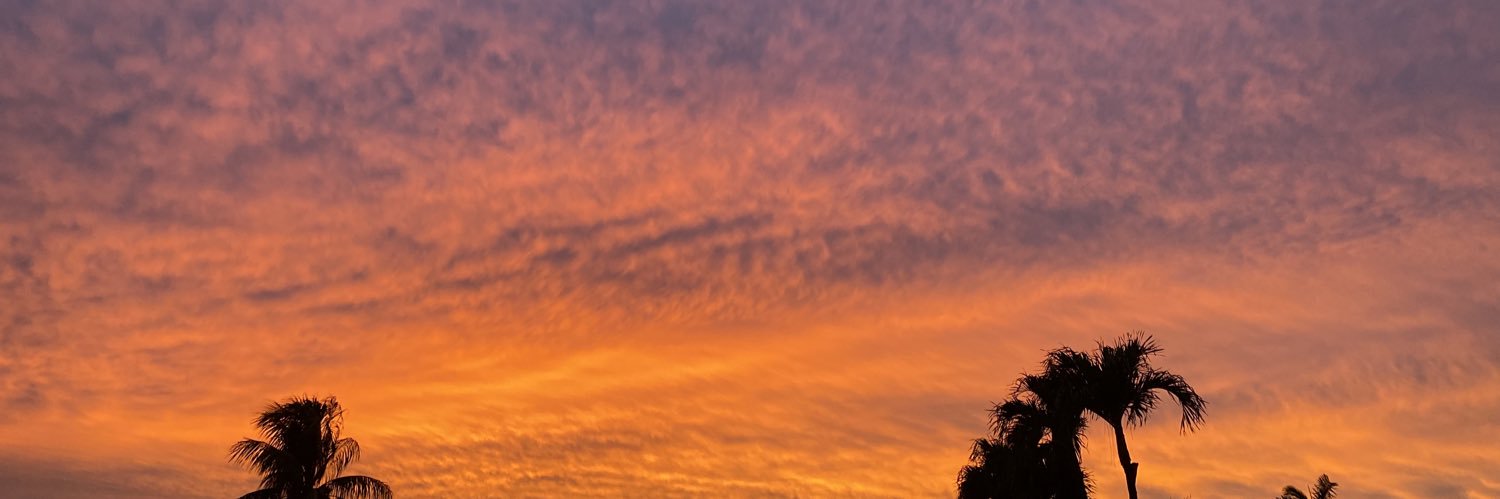 lexi banner