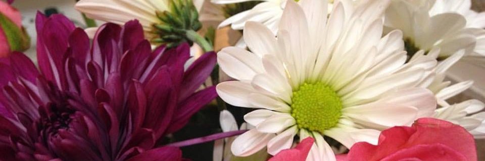 LBeeker's profile banner image