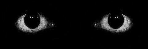 _MrBlunt's profile banner image