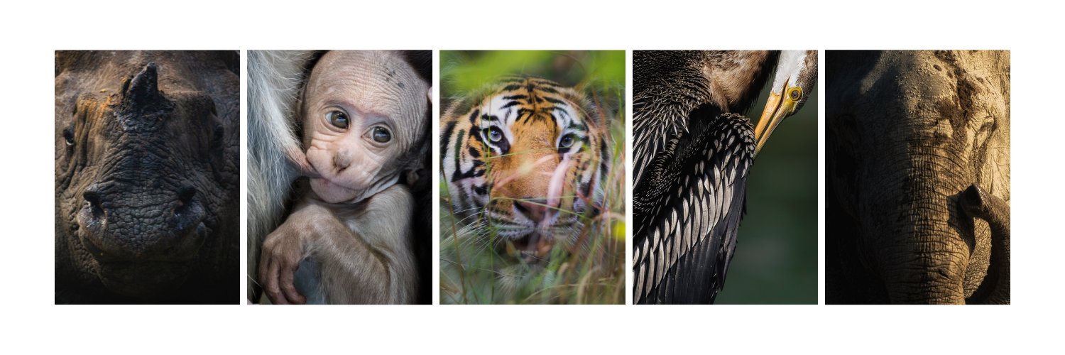 Swaroop Singha Roy banner