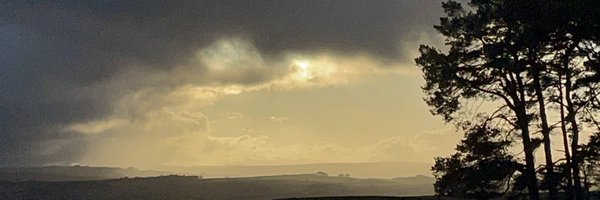 KumaYama100 Profile Banner
