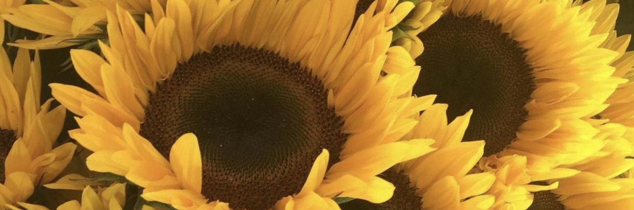 darskinns's profile banner image