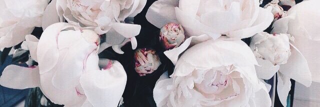 celinaa_am's profile banner image