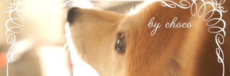 chocomokako's profile banner image