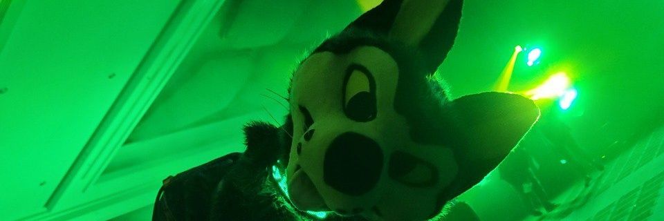 StreyFur's profile banner image
