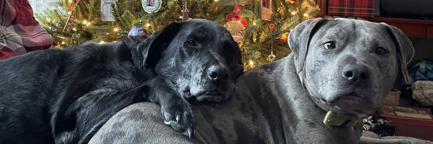 RebeccaEnman's profile banner image