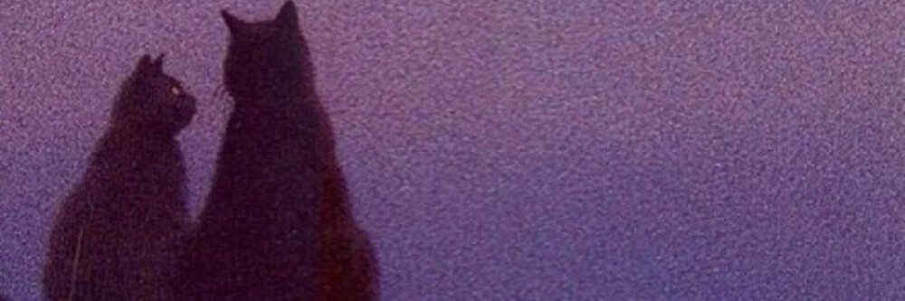 beast4bracket's profile banner image