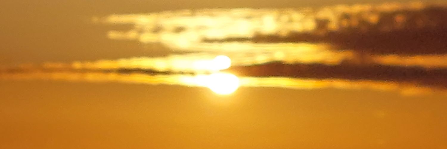 nvtlie's profile banner image