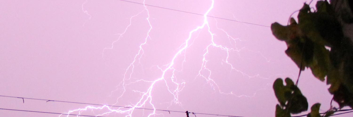 thelisapants's profile banner image