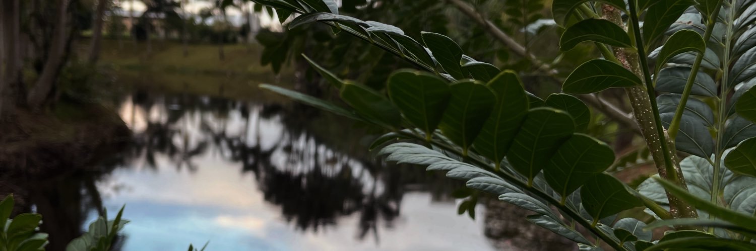 CcBruna's profile banner image