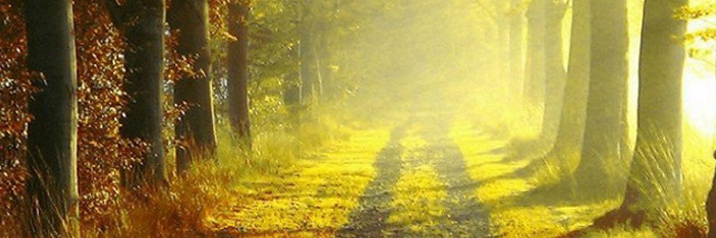 Wie_rPH banner