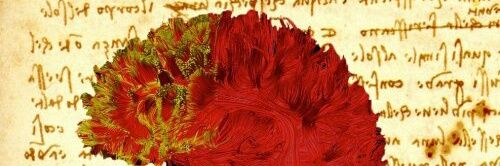 spatricus's profile banner image