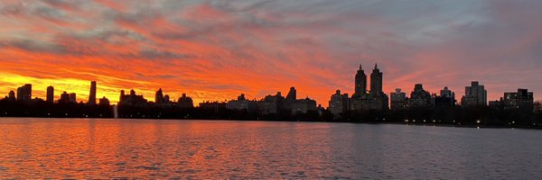 amycep Profile Banner