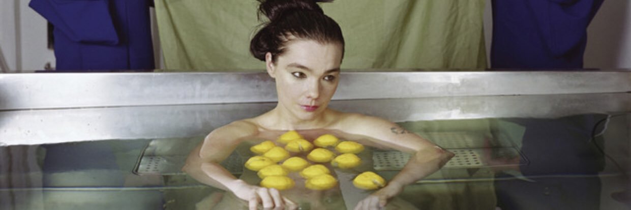 bjorksleftknee's profile banner image