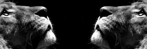 DrakeJones58's profile banner image