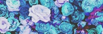 Marcymiller15's profile banner image