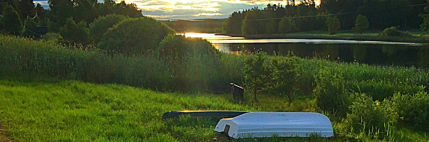 Steve Robertson banner