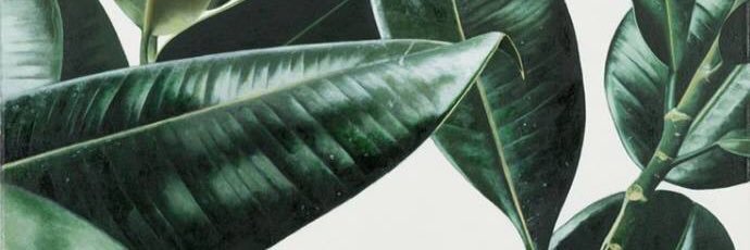 RachelBeider's profile banner image