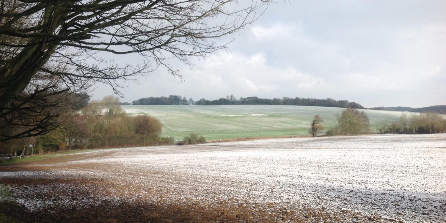 UlshawPeter's profile banner image