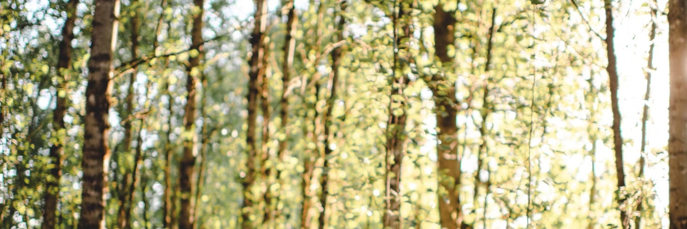 MOSS_E_MOSS's profile banner image