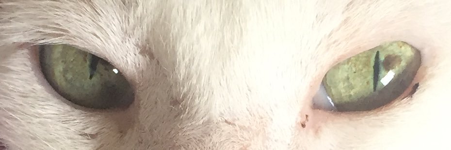 BruDoBreezy's profile banner image