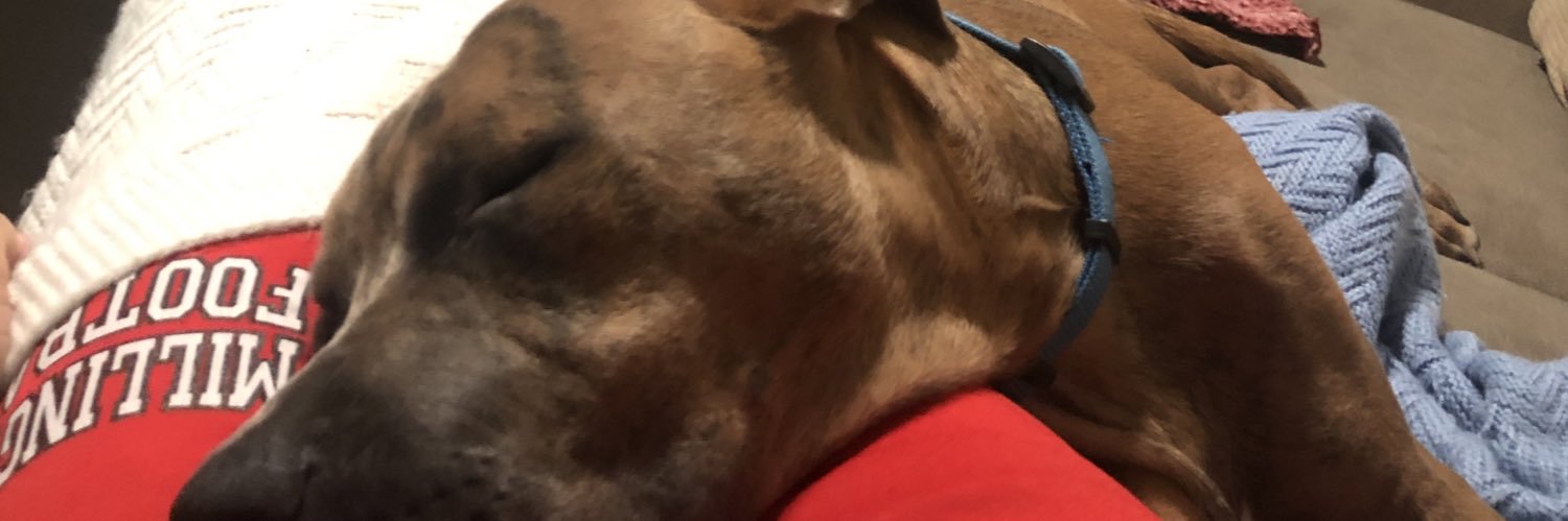 gucci ogg banner