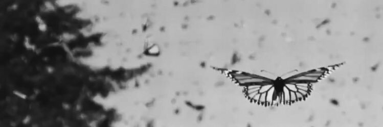 nickyloeber's profile banner image
