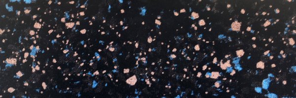 NathanRoden16 Profile Banner