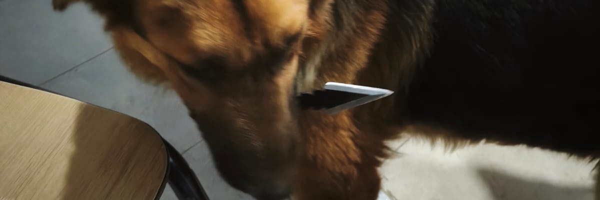 cat_626's profile banner image